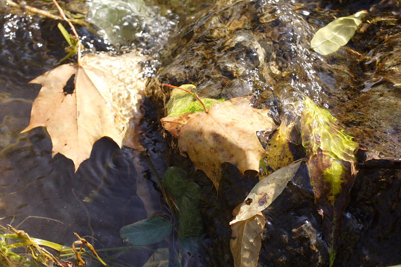 Kategorien: Datum: 07.10.2007