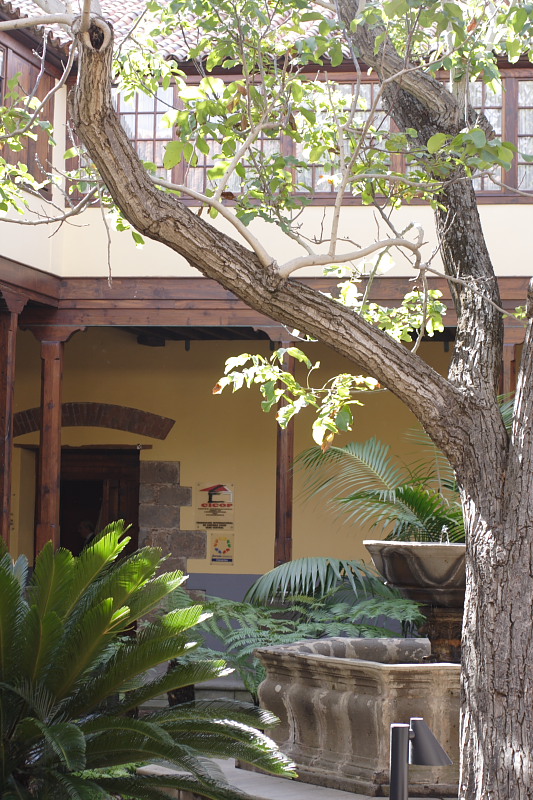 La Laguna, Lokation: Spanien | Canarias | La Laguna | La Laguna Kategorien: Datum: 28.11.2007