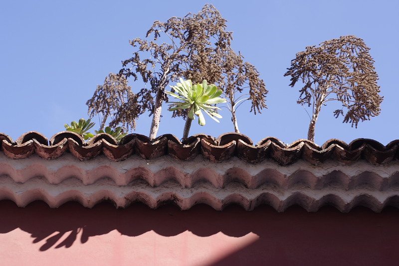 Kategorien: Datum: 07.12.2007