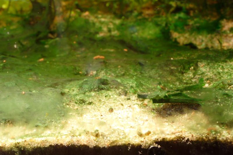 Kategorien: Datum: 17.05.2008