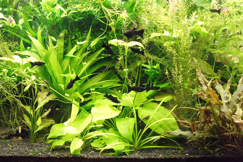 Kategorien: Datum: 28.05.2008