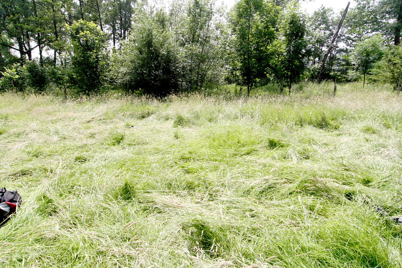 Kategorien: Datum: 08.06.2008