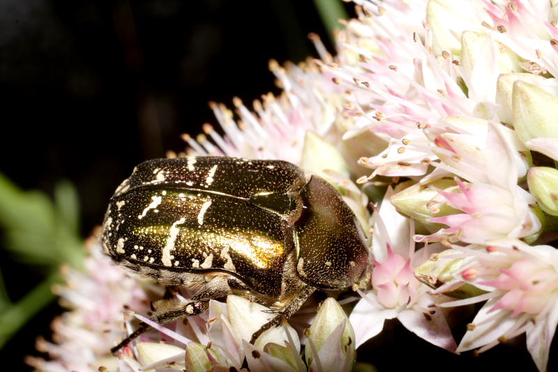 Kategorien: Datum: 27.08.2008