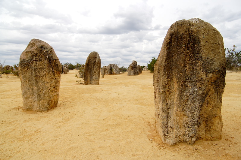 Pinnacles, Lokation: Australien | Western Australia | Cervantes | Cervantes Kategorien: Datum: 22.10.2008