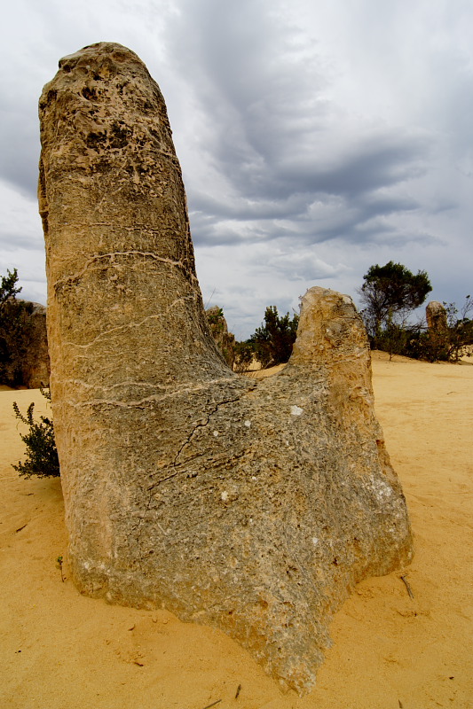 Pinnacles, Lokation: Australien | Western Australia | Cervantes | Cervantes Kategorien: Datum: 22.10.2008