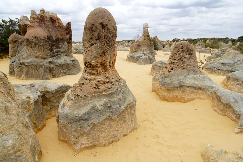 Pinnacles, Lokation: Australien | Western Australia | Cervantes | Cervantes Kategorien: Datum: 22.10.2008