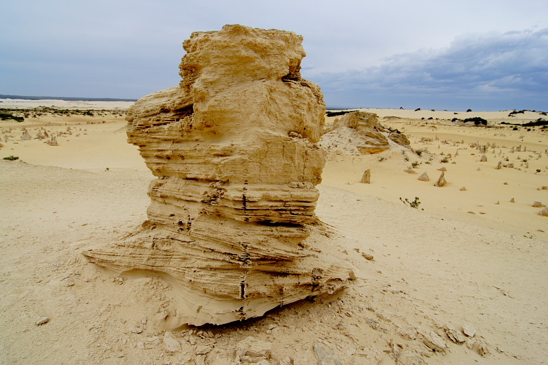 Pinnacles, Lokation: Australien | Western Australia | Cervantes | Cervantes Kategorien: Datum: 22.10.2008