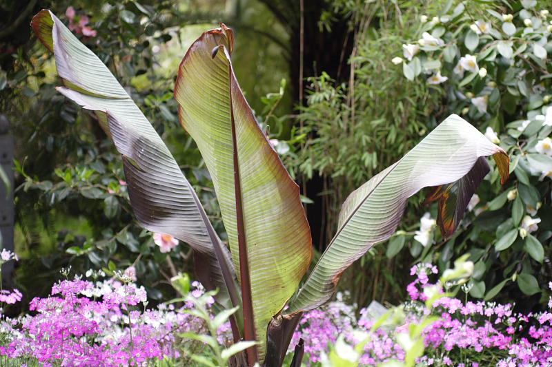 Kategorien: Datum: 05.04.2009