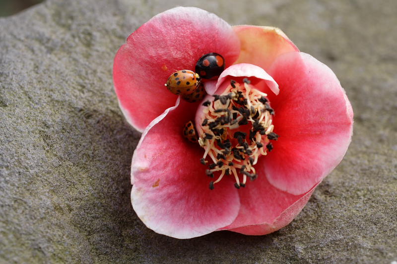 Kategorien: Datum: 05.04.2009