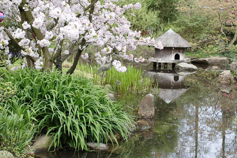 Kategorien: Datum: 10.04.2009