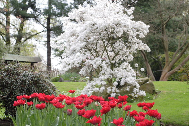 Kategorien: Datum: 10.04.2009