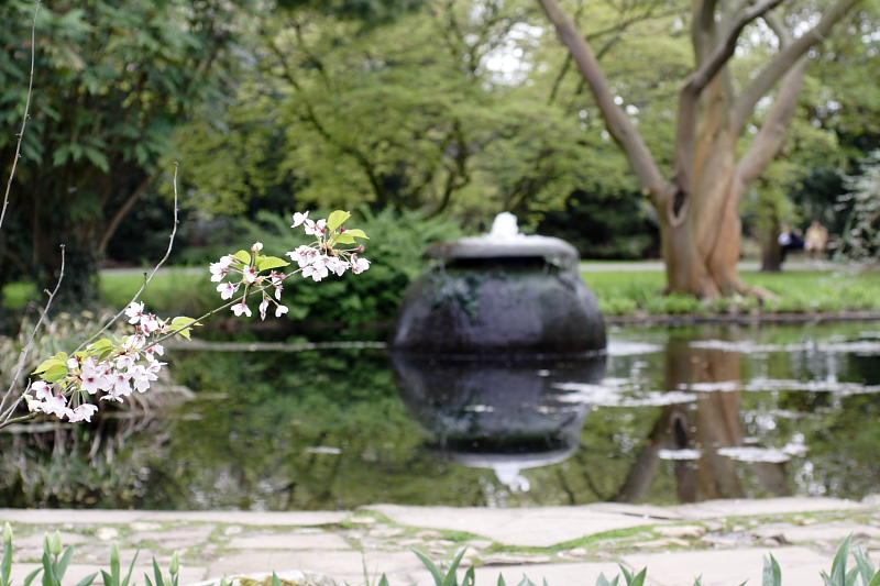 Kategorien: Datum: 10.04.2009