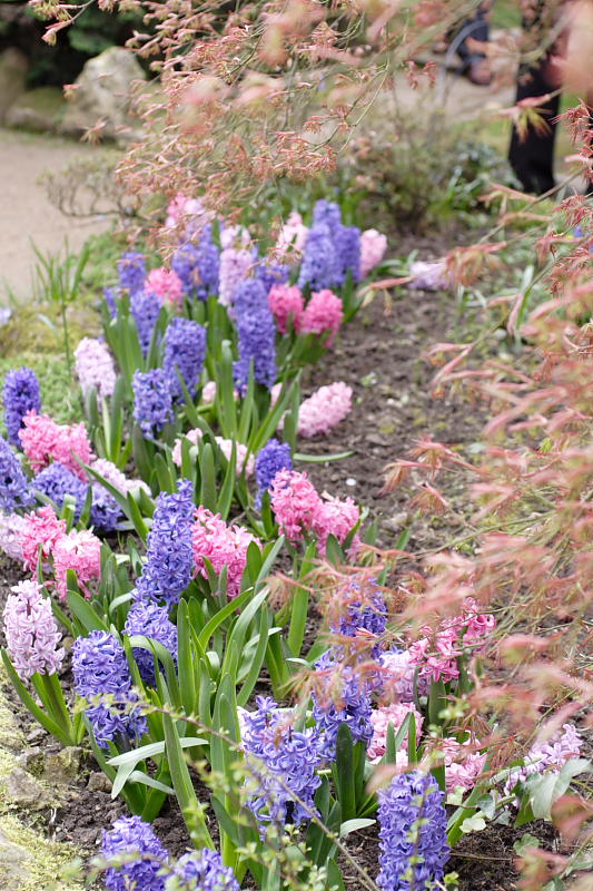 Kategorien: Datum: 10.04.2009