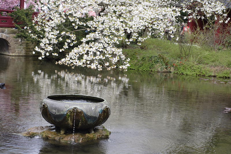 Kategorien: Datum: 10.04.2009