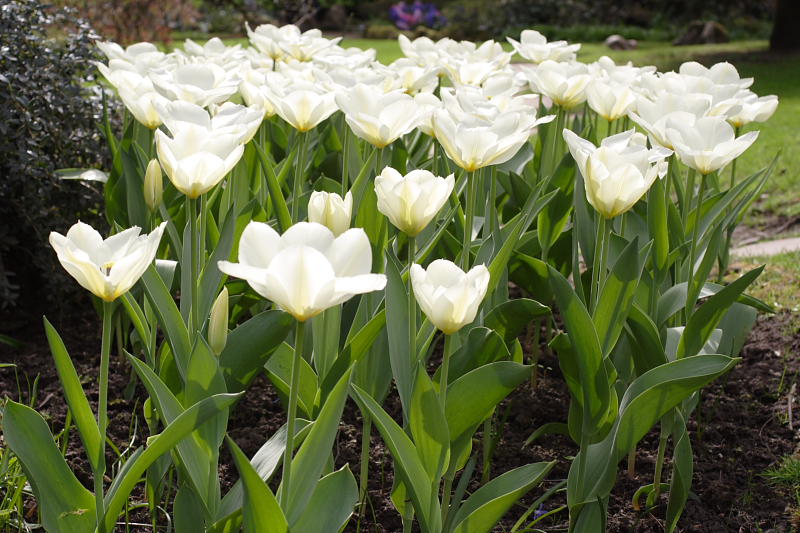 Kategorien: Datum: 10.04.2009