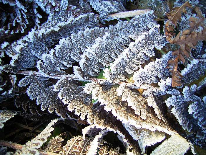 Lokation: Zuhause Kategorien: Winter, Datum: 21.12.2004