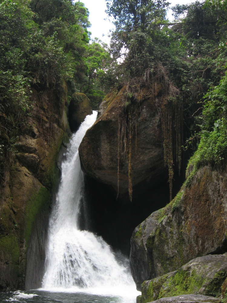 Lokation: Costa Rica | San José | Providencia | Kategorien: Wasserfall, Datum: 04.02.2010