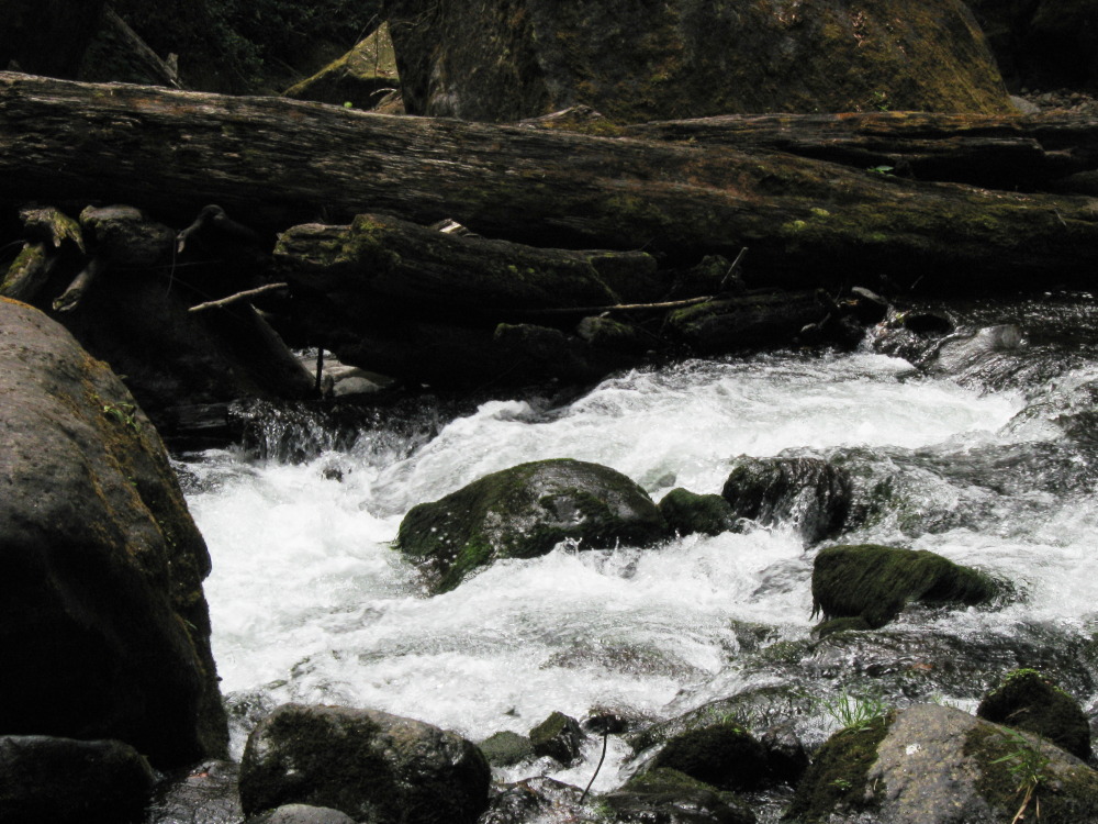 Lokation: Costa Rica | San José | Providencia | Kategorien: Fluss, Datum: 04.02.2010