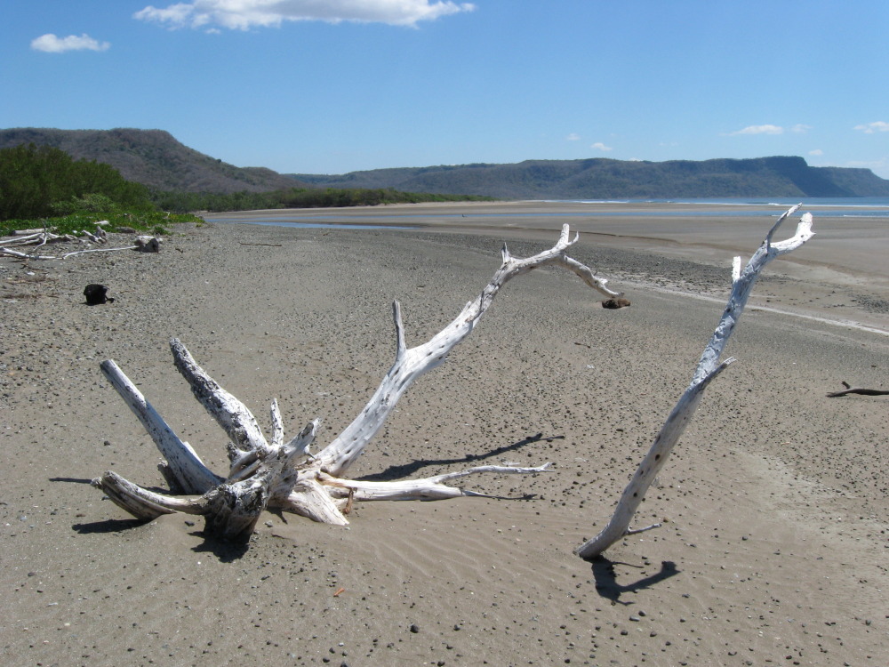 Lokation: Costa Rica | Guanacaste | Guanacaste | Kategorien: Strand, Datum: 07.02.2010