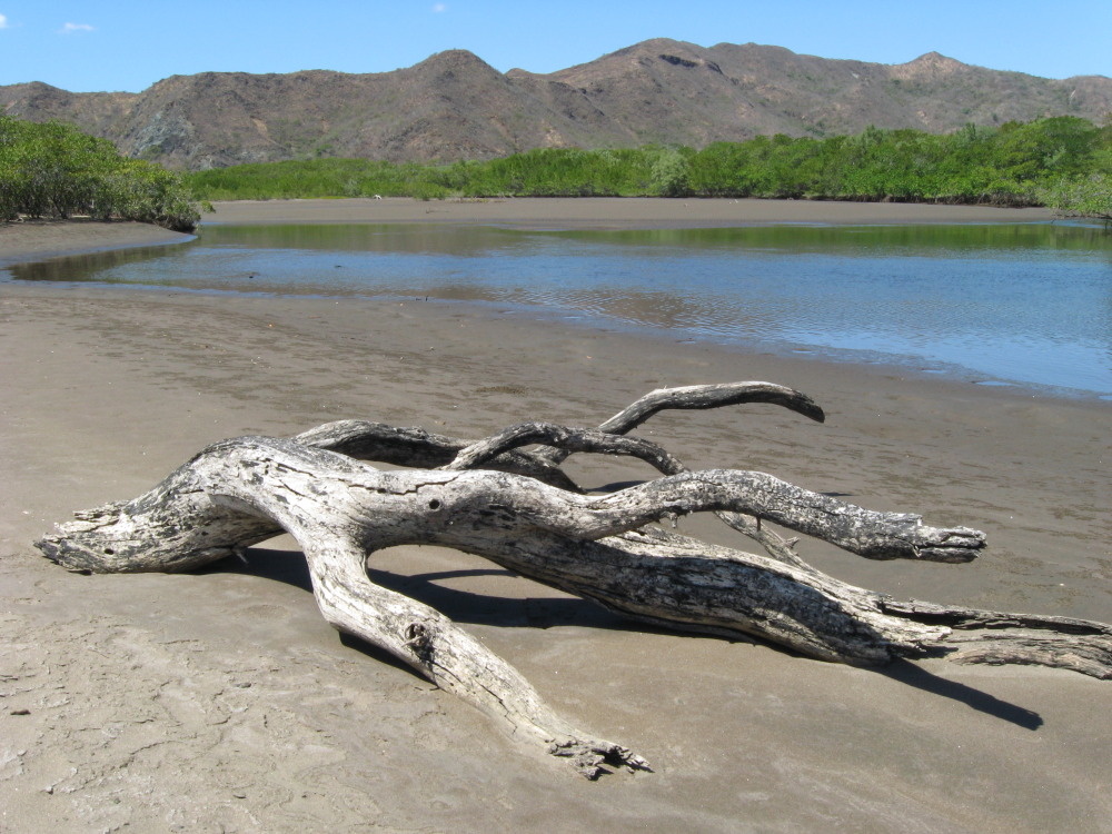 Lokation: Costa Rica | Guanacaste | Guanacaste | Kategorien: Strand, Datum: 07.02.2010