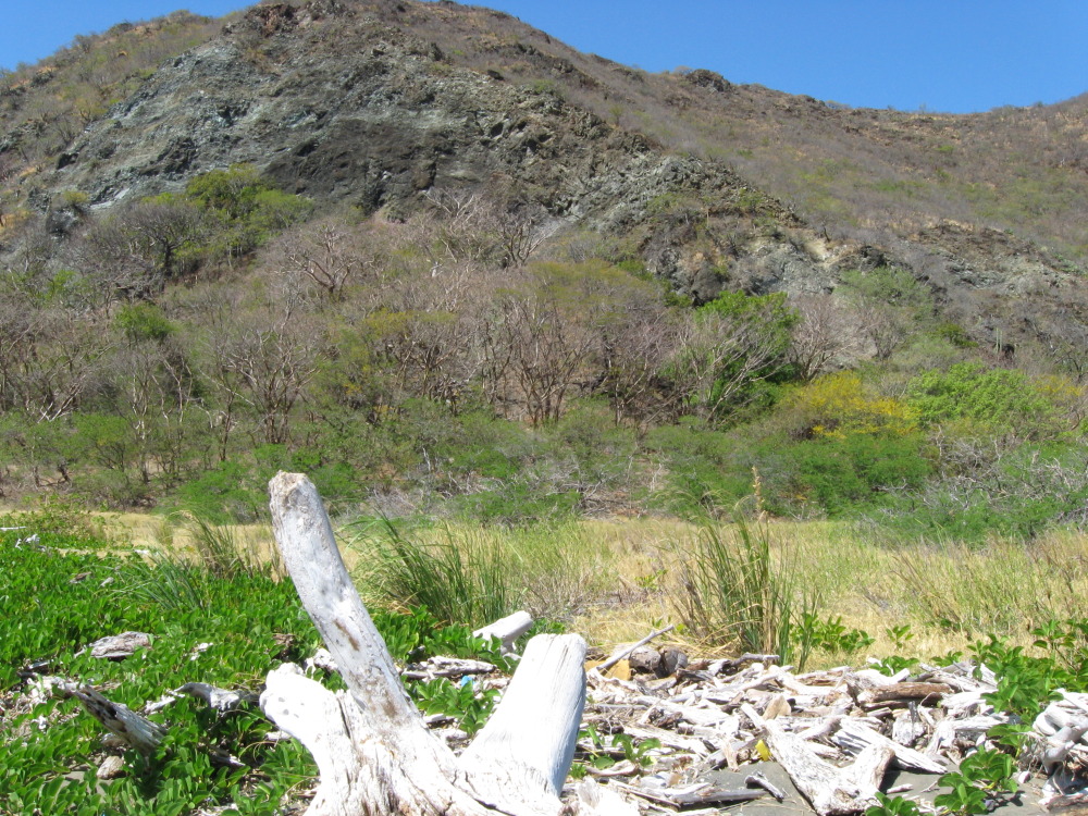 Lokation: Costa Rica | Guanacaste | Guanacaste | Kategorien: Berge, Datum: 07.02.2010