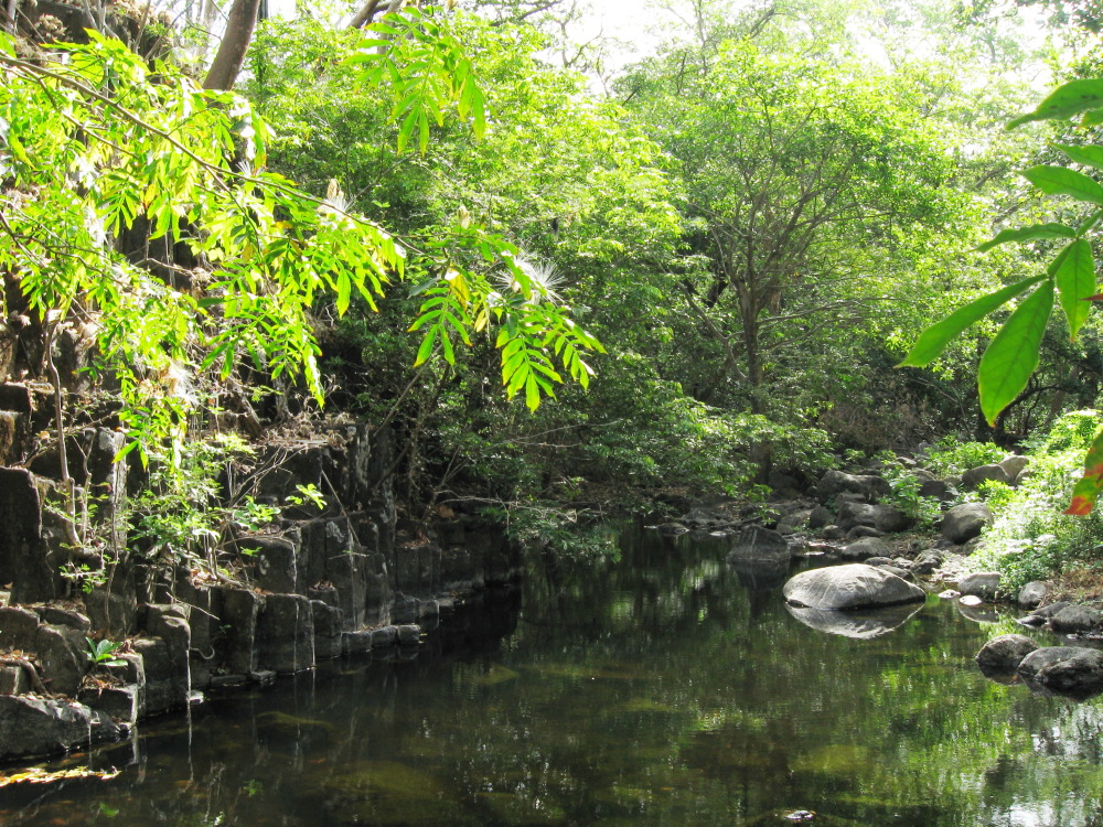 Lokation: Costa Rica | Guanacaste | Guanacaste | Kategorien: Fluss, Datum: 08.02.2010
