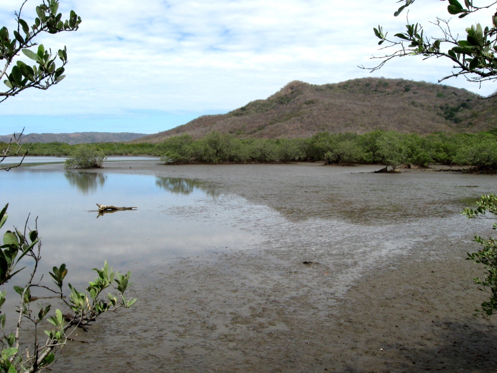 Lokation: Costa Rica | Guanacaste | Guanacaste | Kategorien: See, Datum: 08.02.2010