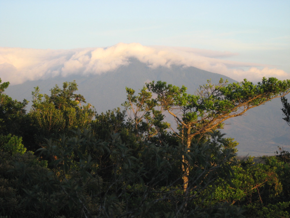 Lokation: Costa Rica | Guanacaste | Tanques | Kategorien: Berge, Datum: 10.02.2010