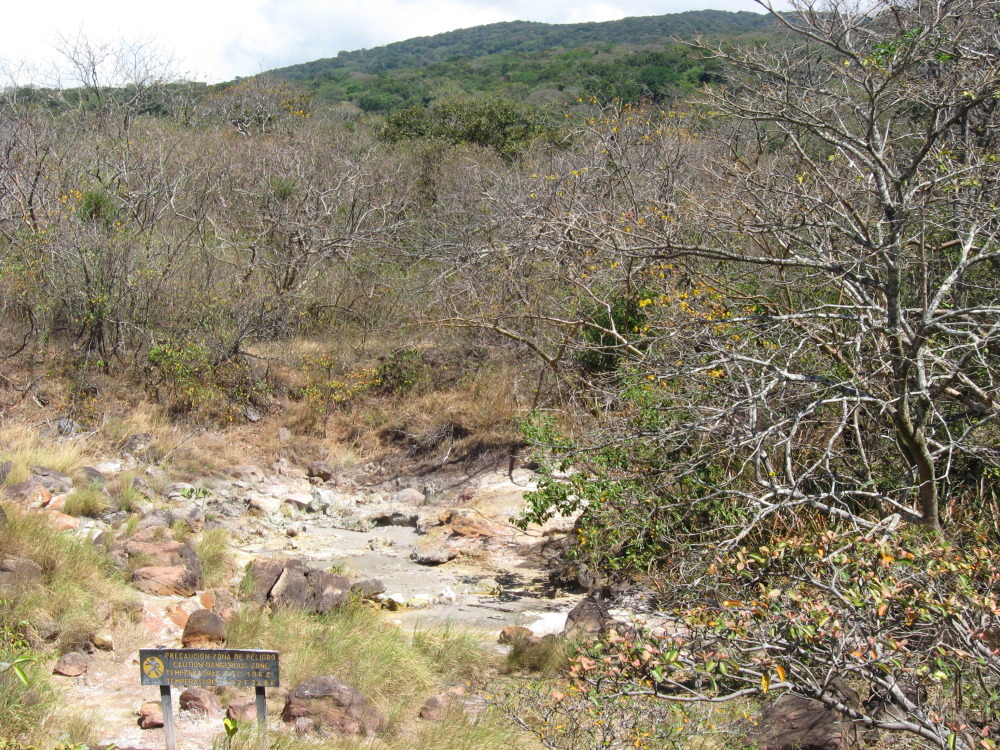 Lokation: Costa Rica | Guanacaste | Tanques | Kategorien: Geologie, Datum: 11.02.2010