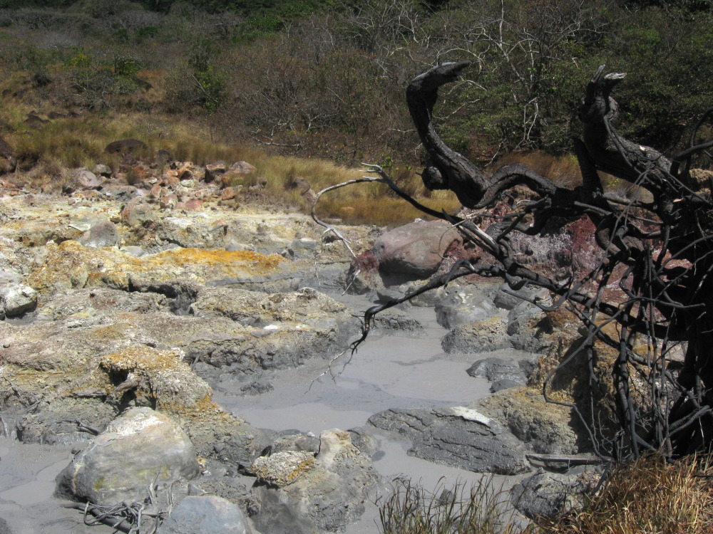 Lokation: Costa Rica | Guanacaste | Tanques | Kategorien: Geologie, Datum: 11.02.2010