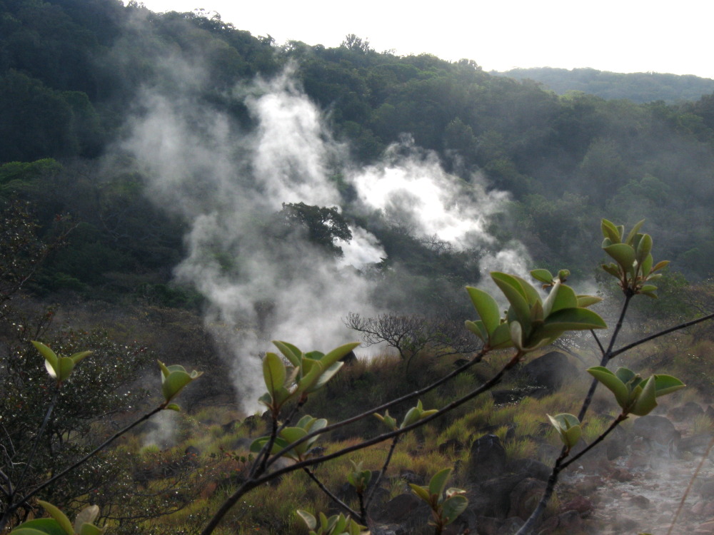Lokation: Costa Rica | Guanacaste | Tanques | Kategorien: Geologie, Datum: 13.02.2010