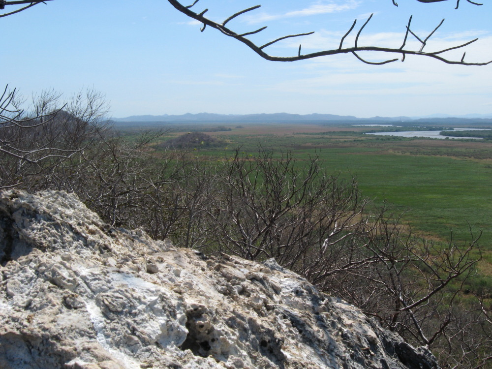 Lokation: Costa Rica | Guanacaste | Palo Verde | Kategorien: Landschaft, Datum: 15.02.2010