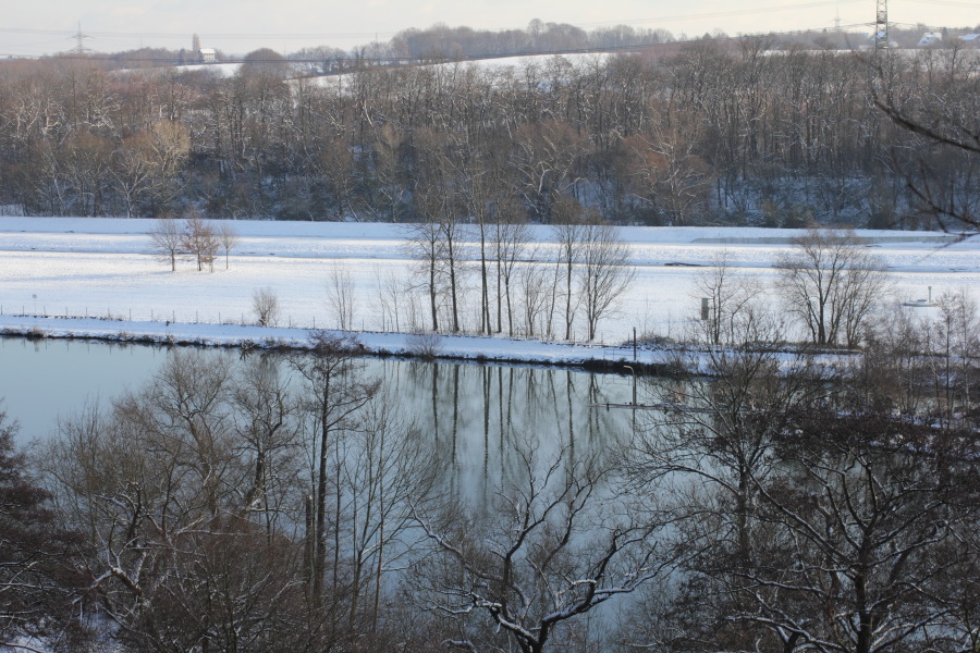 Lokation: Deutschland | Nordrhein-Westfalen | Essen | Oben im Eiberg Kategorien: Winter, Datum: 15.12.2010