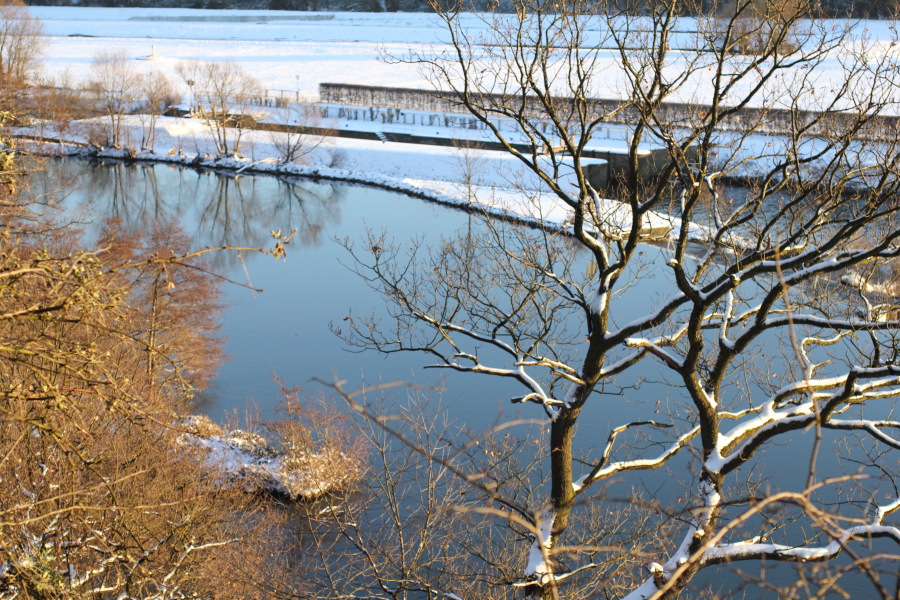 Lokation: Deutschland | Nordrhein-Westfalen | Essen | Oben im Eiberg Kategorien: Winter, Datum: 15.12.2010