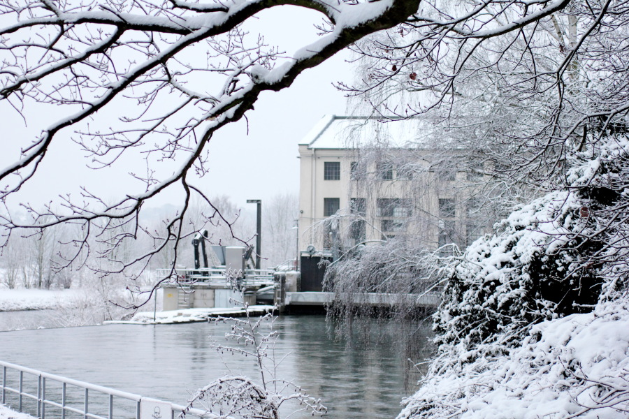 Lokation: Deutschland | Nordrhein-Westfalen | Essen | Oben im Eiberg Kategorien: Winter, Datum: 17.12.2010