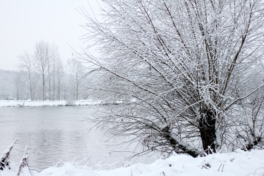 Lokation: Deutschland | Nordrhein-Westfalen | Essen | Oben im Eiberg Kategorien: Winter, Datum: 17.12.2010