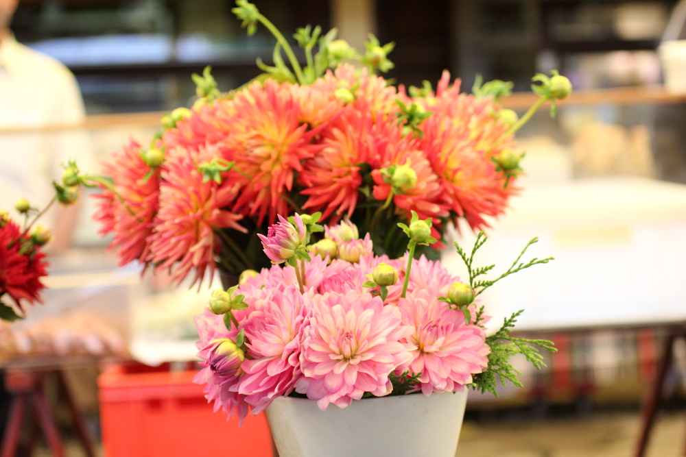 Lokation: Österreich | Kärnten | St. Anna | Klagenfurt Kategorien: Markt, Datum: 20.08.2011