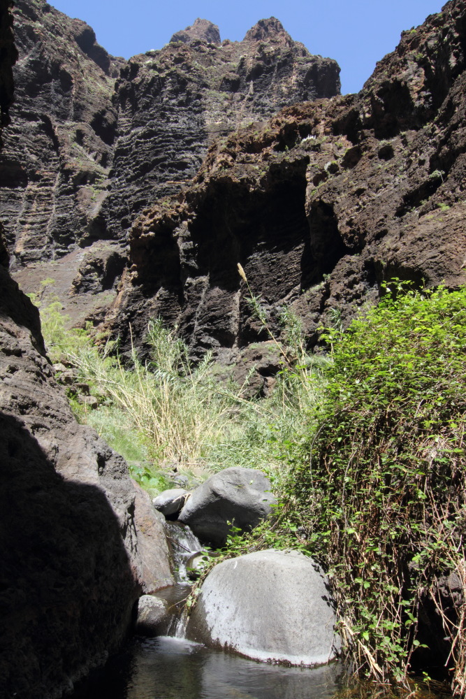 Lokation: Spanien | Canarias | Masca | Masca Kategorien: Schlucht, Datum: 28.02.2011