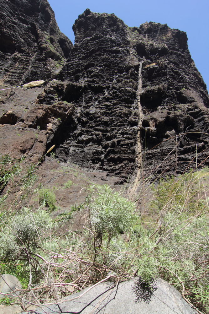 Lokation: Spanien | Canarias | Masca | Masca Kategorien: Schlucht, Datum: 28.02.2011