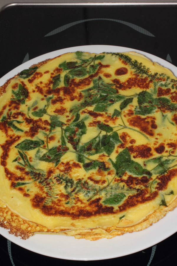 Lokation: Deutschland | Nordrhein-Westfalen | Bergisch Gladbach | Rodemich Kategorien: Essen, Datum: 21.03.2012