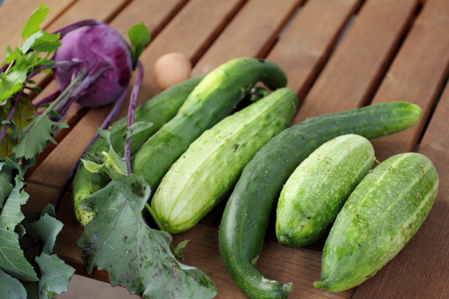 Lokation: Deutschland | Nordrhein-Westfalen | Bergisch Gladbach | Rodemich Kategorien: Früchte, Permakultur, Datum: 17.07.2012