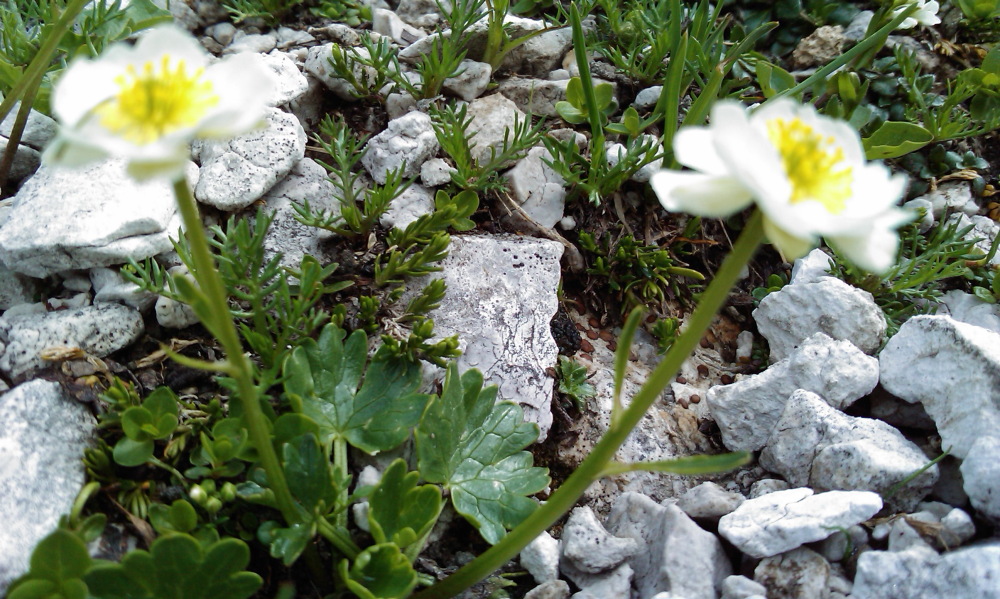 Lokation: Österreich | Salzburg | Rothenwand | Obertauern Kategorien: Datum: 15.08.2013