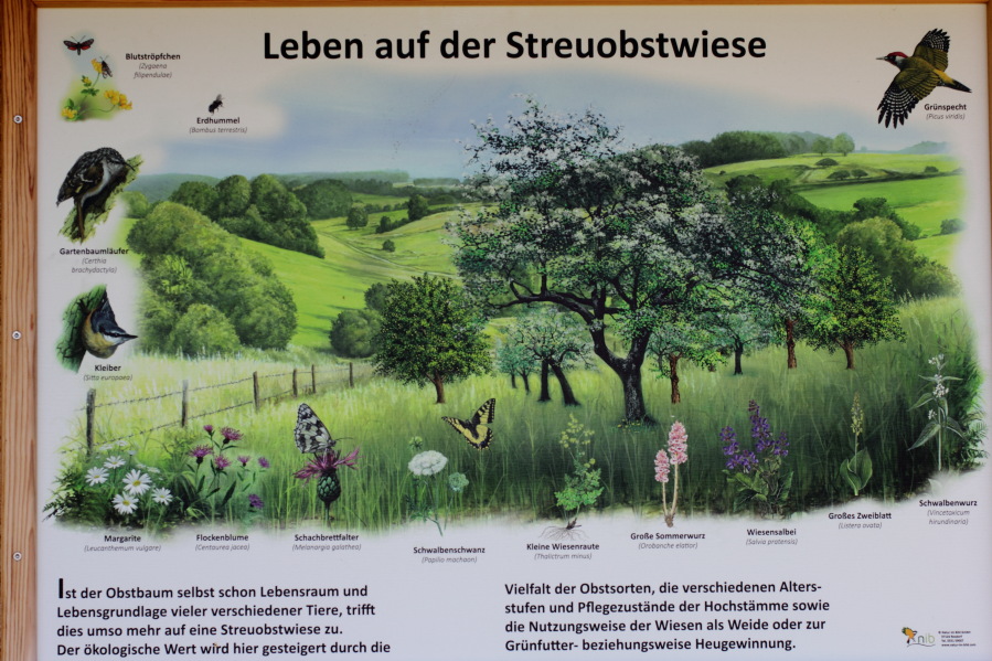 Lokation: Deutschland | Rheinland-Pfalz | Brohl-Lützing | Brohl-Lützing Kategorien: Illustration, Datum: 03.10.2014