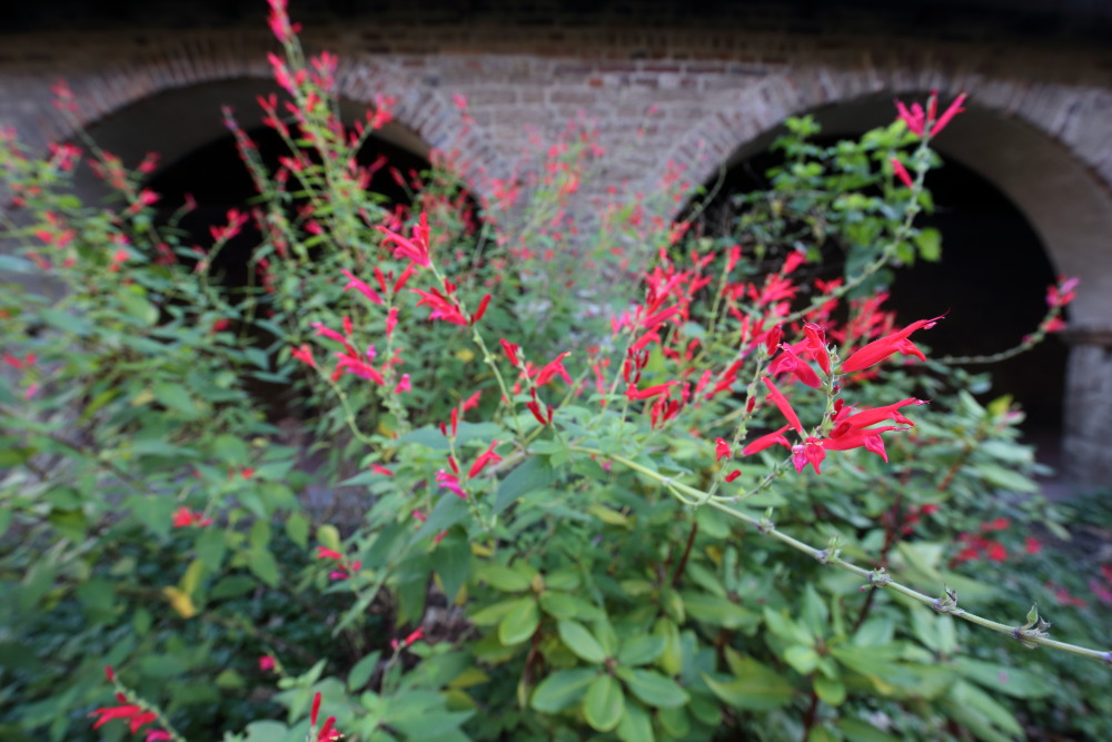 Lokation: Deutschland | Nordrhein-Westfalen | Köln | Altstadt Sud Kategorien: Kirche, Datum: 28.12.2015