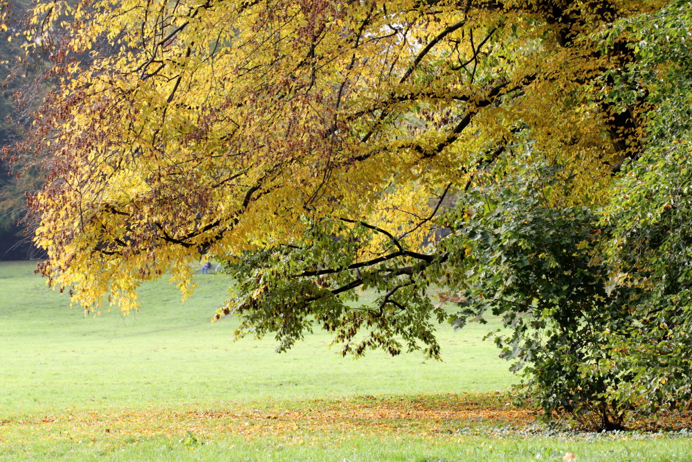 Kategorien: Herbst, Datum: 23.10.2015