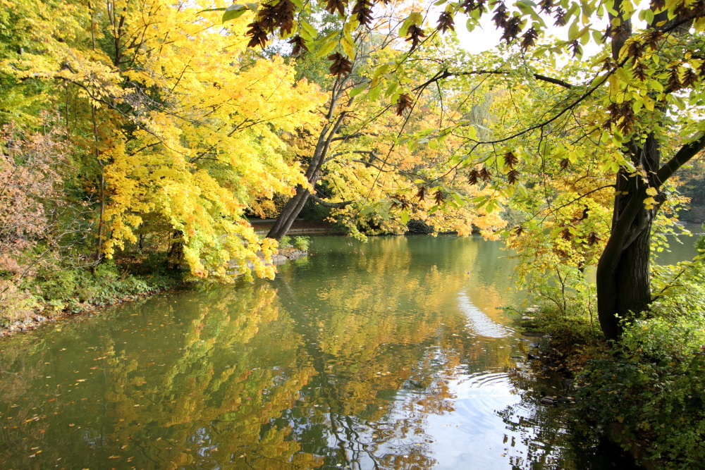 Kategorien: Herbst, Datum: 23.10.2015