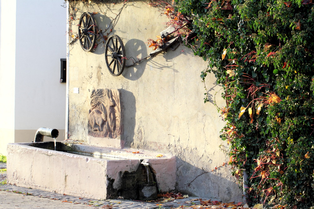 Lokation: Deutschland | Saarland | Mandelbachtal | Wolfersheim Kategorien: Dorf, Datum: 05.11.2015