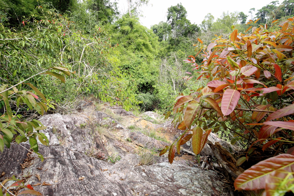 Lokation: Thailand | Nakhon Ratchasima | Ban Phak Pa Mai Kategorien: Felsen, Datum: 02.02.2016