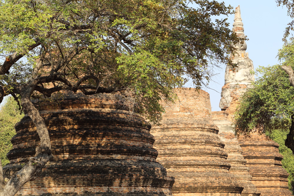 Lokation: Thailand | Phranakhon Si Ayutthaya | Pharnakhon Si Ayutthaya | Ayutthaya Kategorien: Tempel, Datum: 05.02.2016
