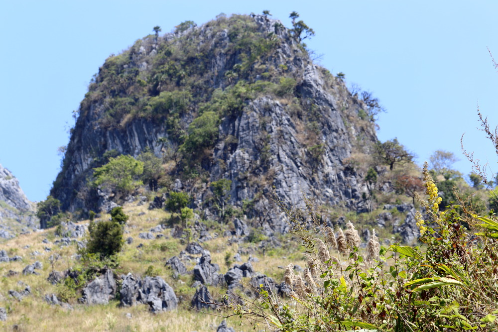 Lokation: Thailand | Chiang Mai | Chiang Dao | Ban Na Lao Mai Kategorien: Berge, Datum: 17.02.2016